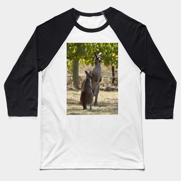 Two Roos at Magpie Springs by Avril Thomas Baseball T-Shirt by MagpieSprings